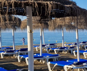 1 umbrella and 2 Beds